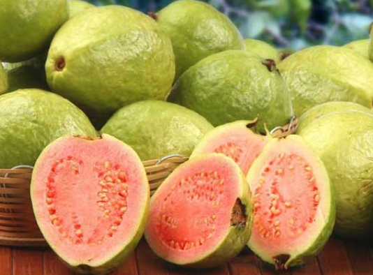 تفسير رؤية الجوافة في المنام