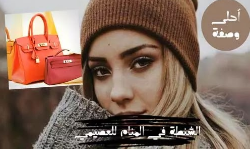 تفسير رؤية الشنطه في المنام للعصيمي